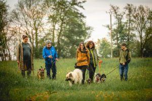 Trainer und Hunde der Hundeschule Black Forest gemeinsam auf Wiese